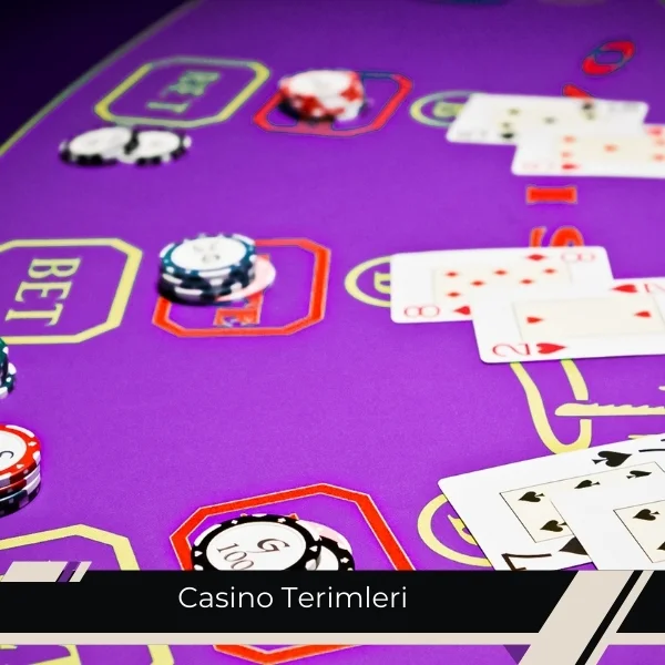 Casino Terimleri